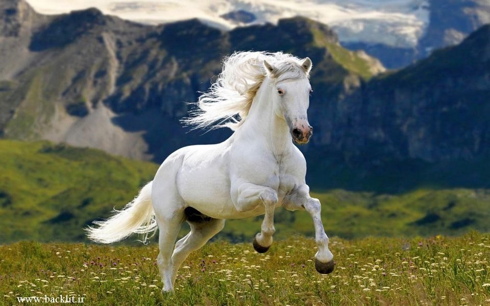 7536